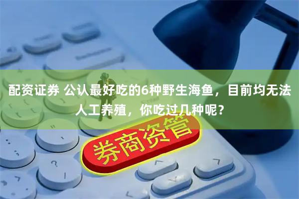 配资证券 公认最好吃的6种野生海鱼，目前均无法人工养殖，你吃过几种呢？